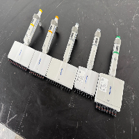 Eppendorf Research Plus Multichannel Pipettes - Quantity 5 image 1